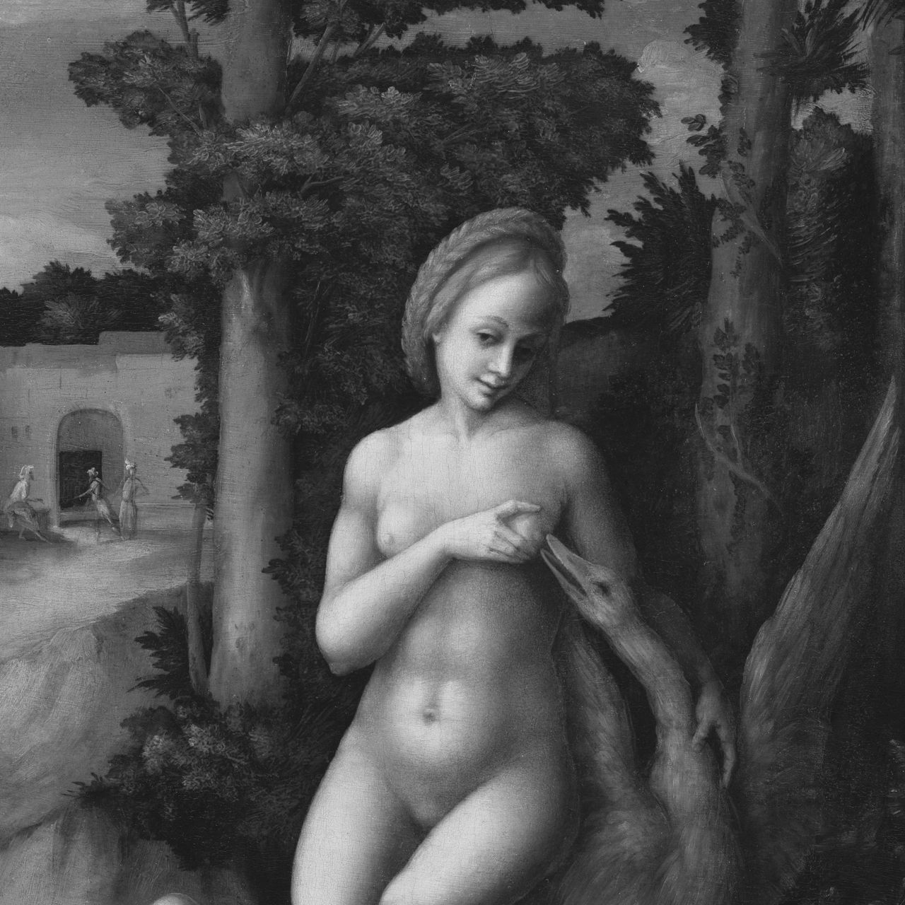 erotika v umeni, Leda s labutí, Bachiacca