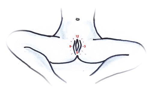 Vaginalni-sebe-mapovani-orientace